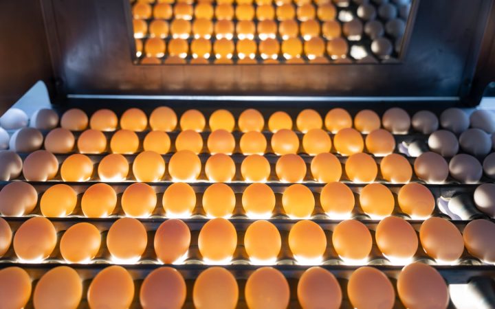 TSF_2022-11-30_Valo_0938-Verbessert-NR-1-scaled